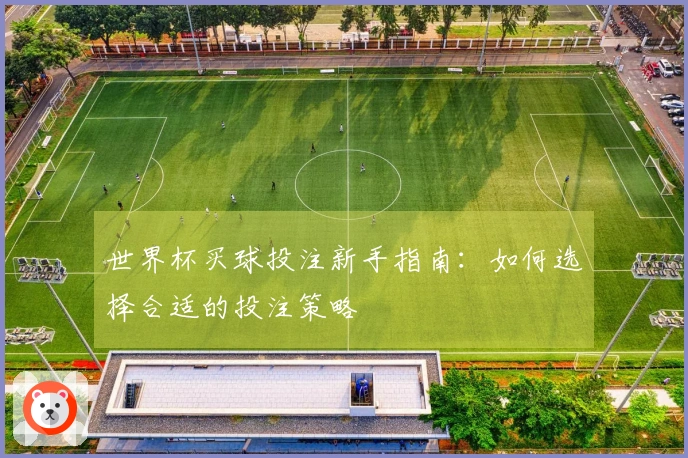 世界杯买球投注新手指南：如何选择合适的投注策略