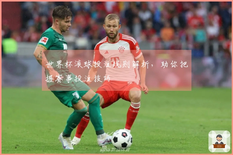 世界杯滚球投注规则解析，助你把握赛事投注技巧