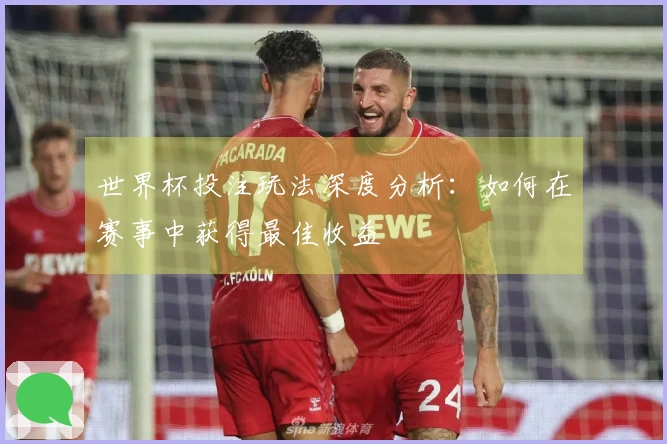 世界杯投注玩法深度分析：如何在赛事中获得最佳收益