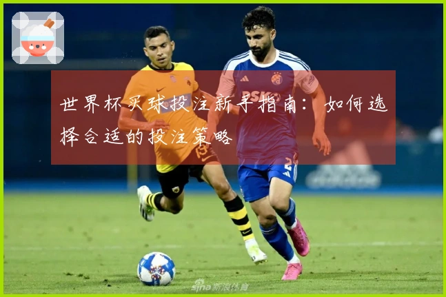 世界杯买球投注新手指南：如何选择合适的投注策略