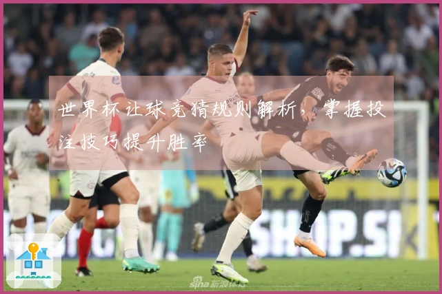 世界杯让球竞猜规则解析，掌握投注技巧提升胜率