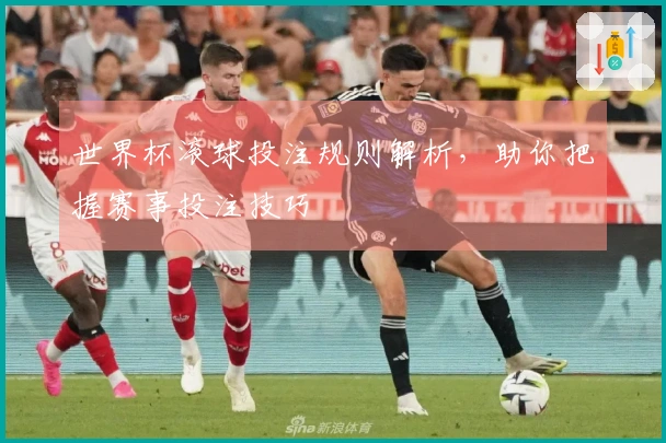 世界杯滚球投注规则解析，助你把握赛事投注技巧