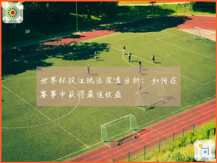 世界杯投注玩法深度分析：如何在赛事中获得最佳收益