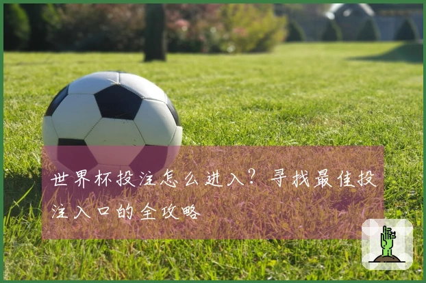 世界杯投注怎么进入？寻找最佳投注入口的全攻略