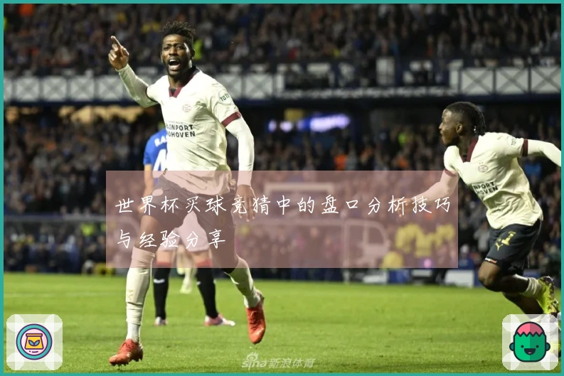 世界杯买球竞猜中的盘口分析技巧与经验分享